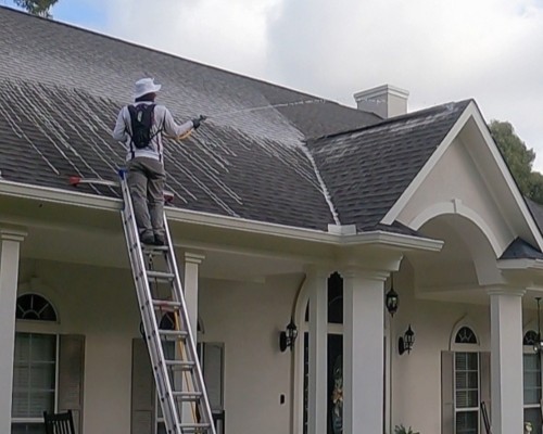 Roofcleaning